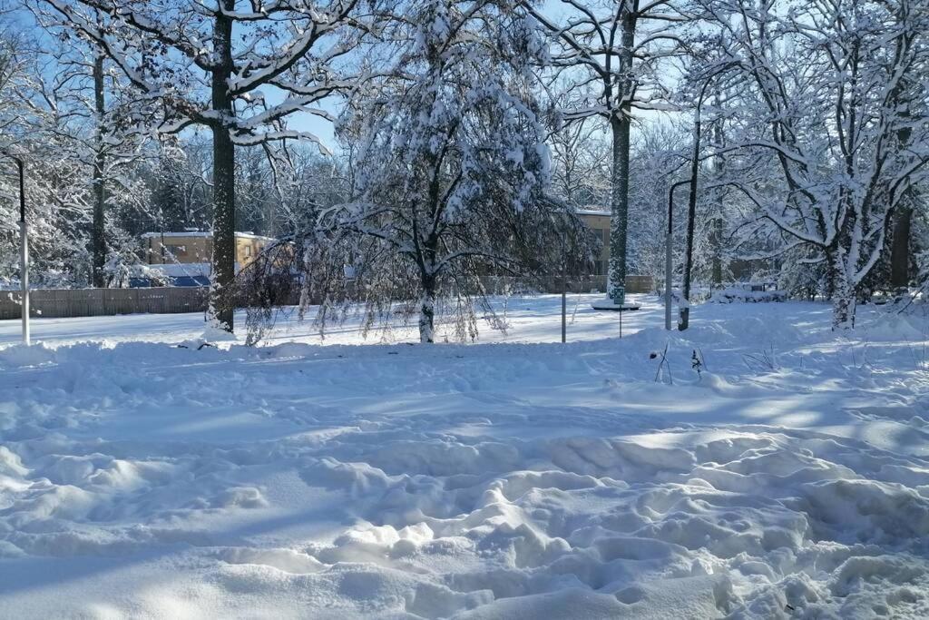 Nowoczesny Apartament W Puszczy Bialowieskiej Hajnówka Exteriér fotografie